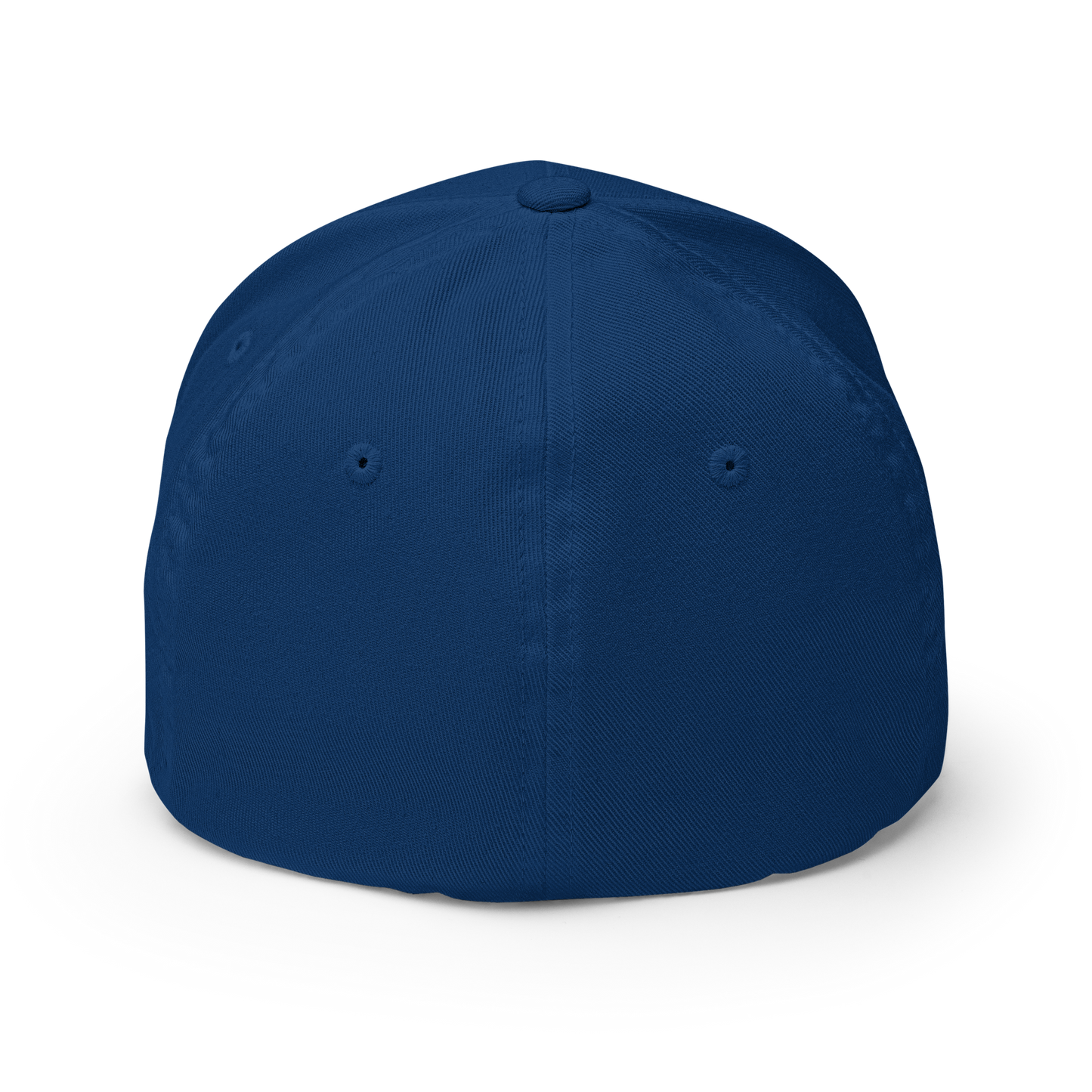 Back 2 The 90's Flexfit (Blue)