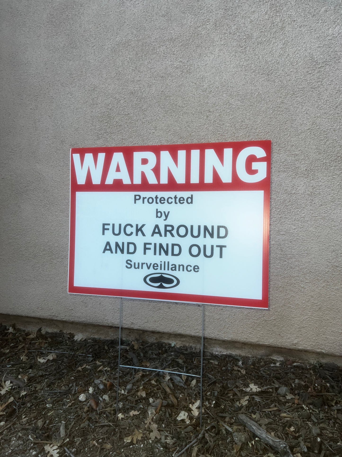 Fuck Around and Find Out Surveillance Sign